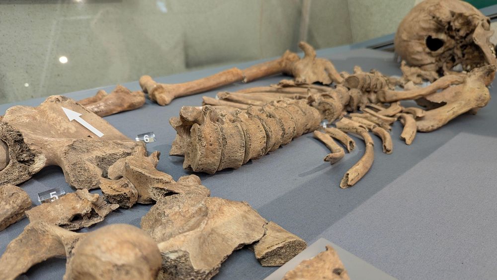 El esqueleto del joven fue hallado durante una excavación en York en 2004.