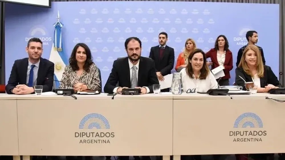 Debate de la Ley de Bases en el plenario de comisiones
