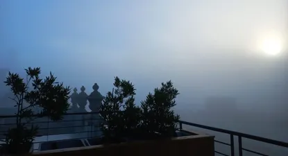 Fotografía tomada desde el piso 11 de Sinergia Ejido