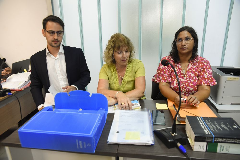 20250205 Fiscal Alicia Ghione. Audiencia pública de Penadés y Mauvezín.