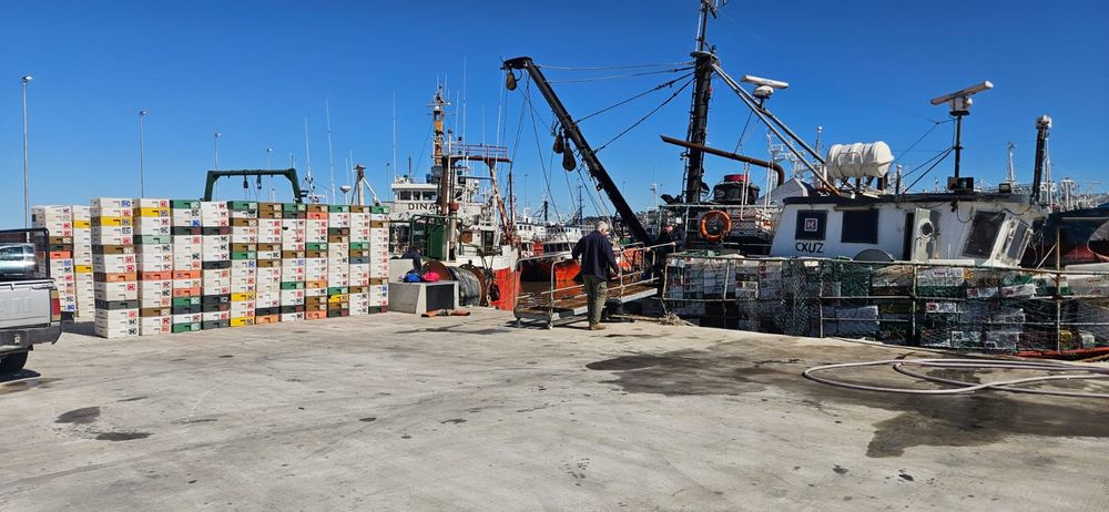 Industria pesquera, pesca, sindicato