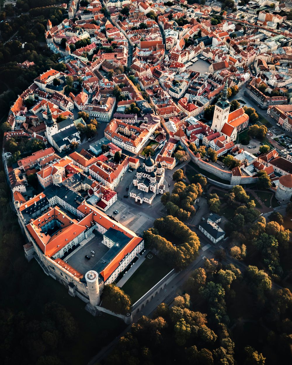 Los ciudadanos de la Unión Europea no necesitan permiso de residencia o trabajo para vivir en Estonia.