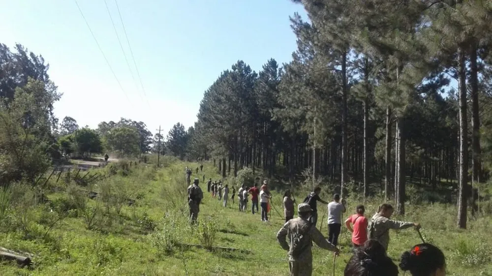 Personal del Ejército Nacional en plena operación de búsqueda.