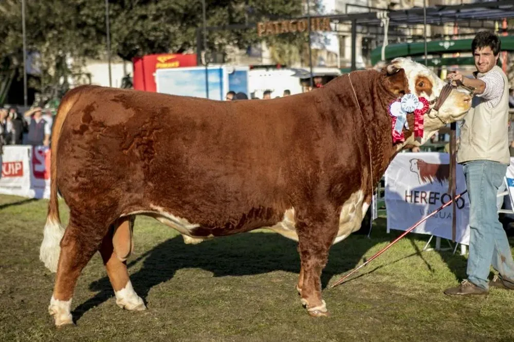 El catálogo de la oferta está publicado en www.lasanitas.com.uy