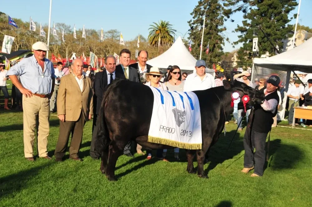 La mejor de todas las Ángus llegó desde Bequeló