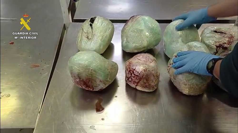 40d2cff6c2af8134bc8d352b43213e3594694ed5w