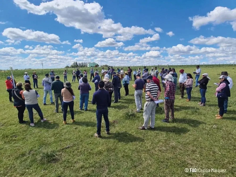 Proyecto Ganadería y Clima.