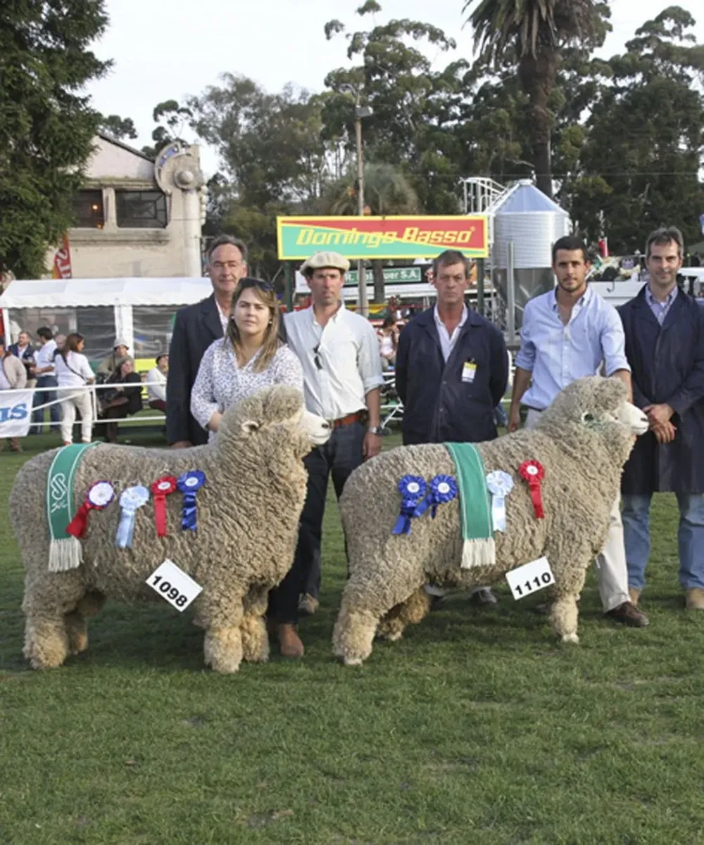 Los dos grandes campeones Merilín