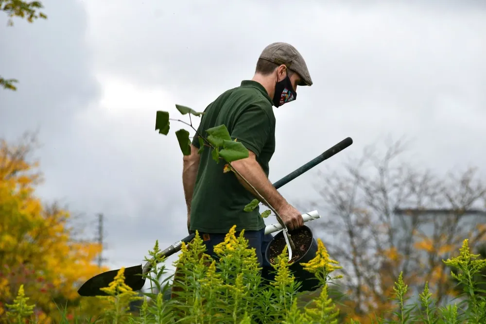 El conocimiento en el cuidado de plantas perennes, césped y arbustos es importante para el puesto.