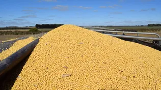 Según Ceres, lo positivo está en la afirmación de señales positivas para el sector agropecuario.