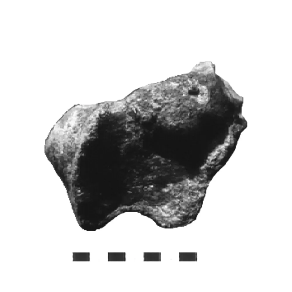 Vértebra del Aeolosaurus encontrada.