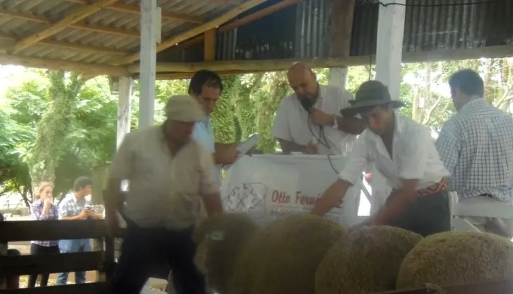 Remataron Otto Fernández y Coco Morales