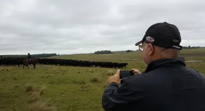 El Observador | 0016749255.webp