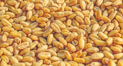 El Observador | 1591829729262.webp