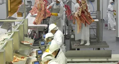 El Observador | 0014061431.webp