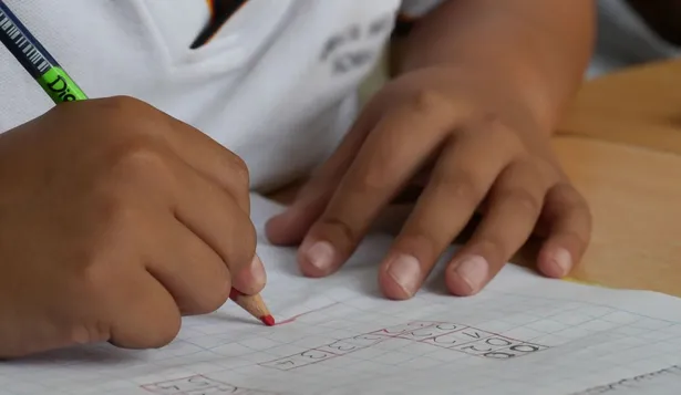 En la mayoría de las propuesta se destaca la enseñanza de idiomas y tecnología