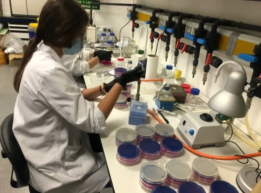 Un estudio de la Universidad de Almería concluye que la lombrices contribuyen a la descomposición de plásticos.