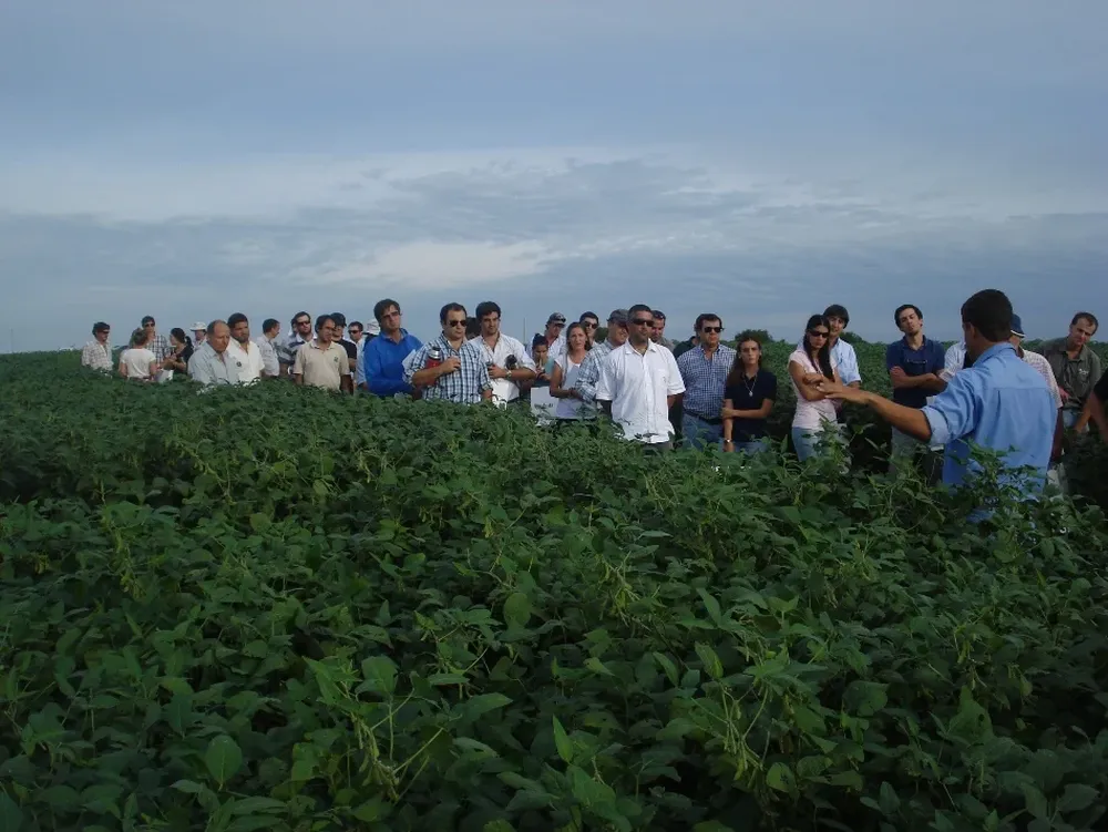 Mucho público asistió a conocer las sojas Syngenta