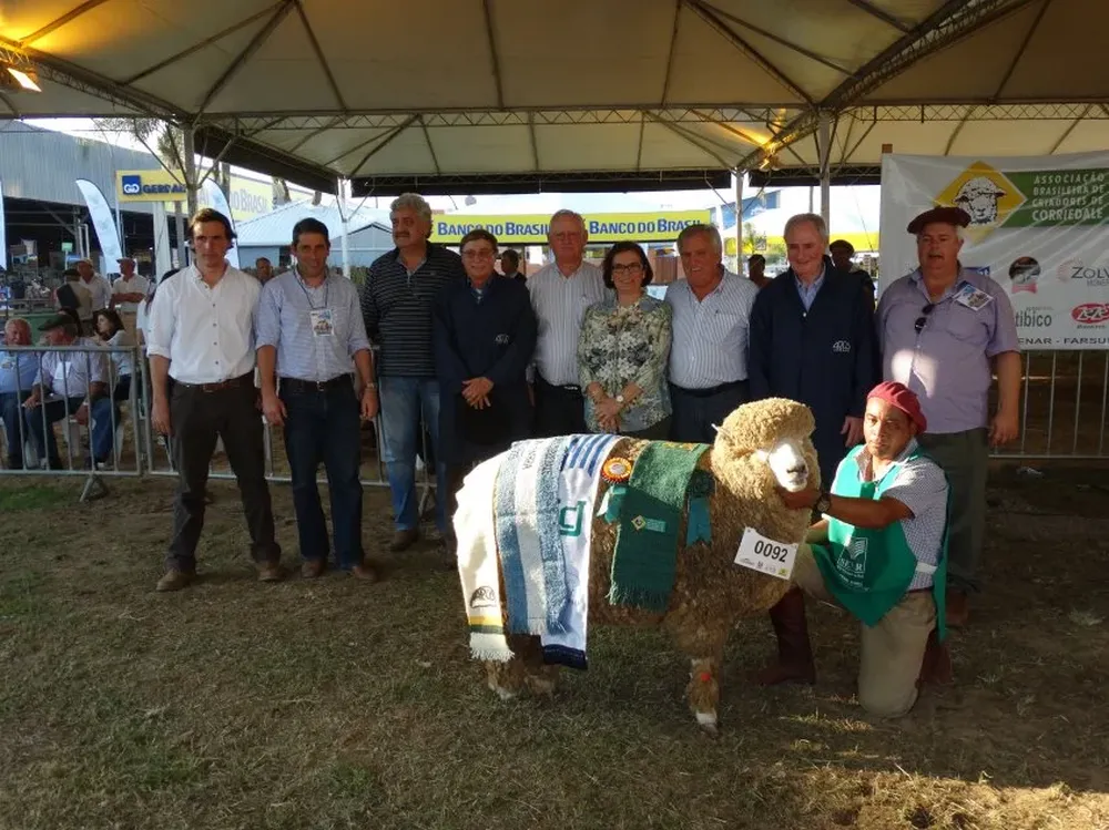 La premiación de la Gran Campeona Corriedale
