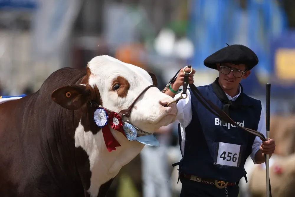 El 8 de setiembre comienza la Expo Prado.