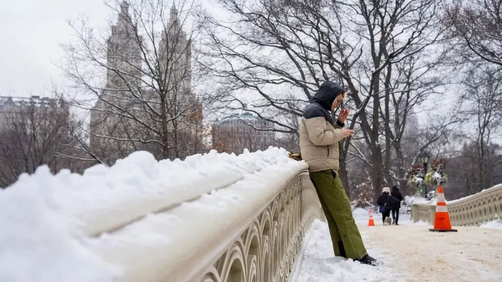 El Central Park de Nueva York bajo el efecto de las intensas nevadas.