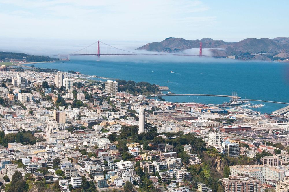 Un abogado de Lasota dijo que él había muerto en San Francisco. Al poco tiempo se le vio de nuevo con vida.