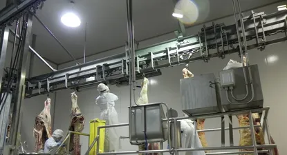 Paro de 72 horas de los trabajadores de Industria Animal