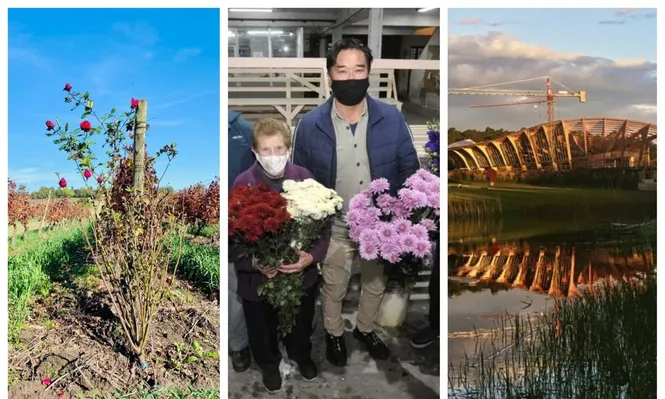 Vinos, flores y un futuro museo, en esta edición de Picnic