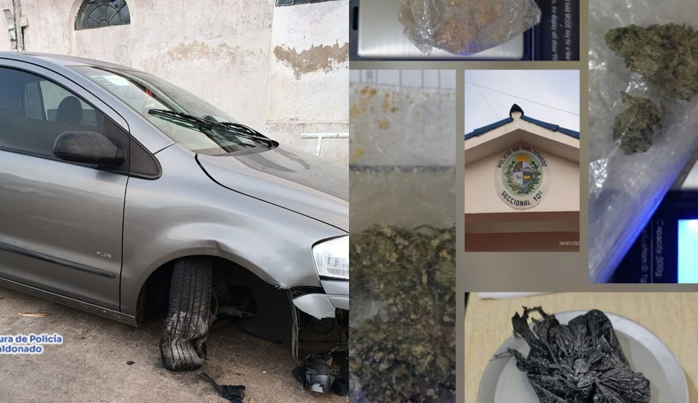 Conductor trasportaba sustancias vegetales y cristalinas e intentó escapar