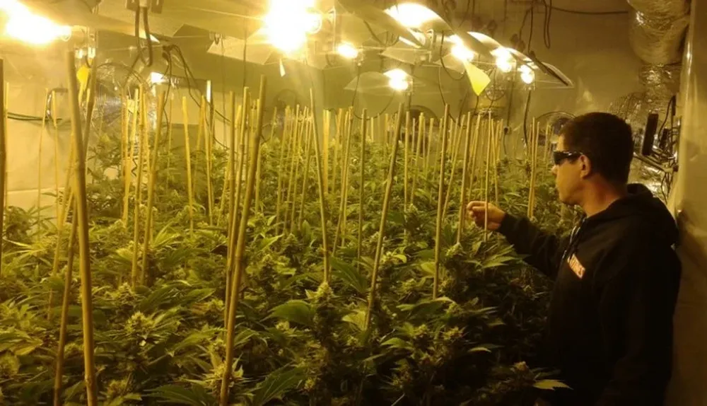 Uno de los clubes uruguayos de cultivadores de marihuana