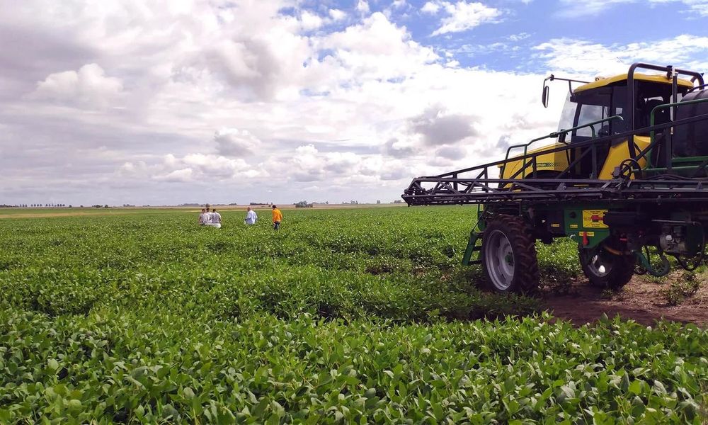 ¿Fin de la recesión en Argentina?