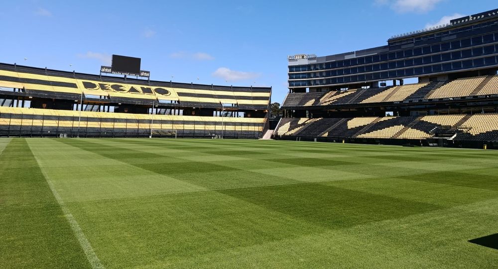El césped del Estadio Campeón del Siglo mejoró notablemente El césped del Estadio Campeón del Siglo mejoró notablemente
