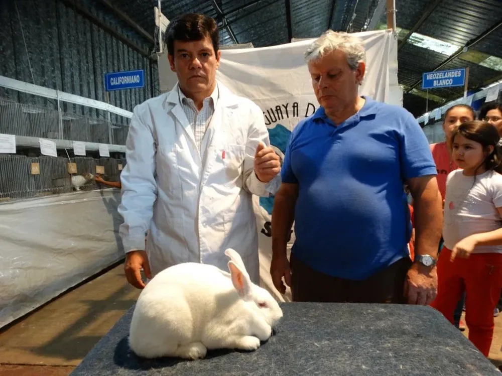 Uno de los jurados y el presidente de Sudec junto al mejor de los 160 conejos.
