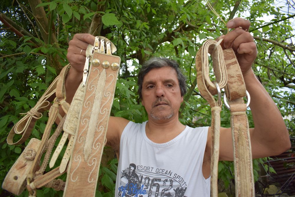 Guasquería Criolla en Uruguay (en la foto José Acuña, docente en el oficio, en su taller en Montevideo).