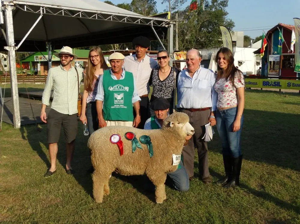 La Reservada Gran Campeona Corriedale