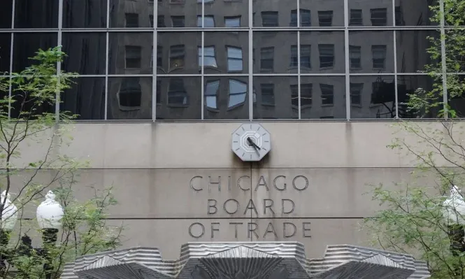 Soja de 2017 se ubica en los US$ 380 por tonelada