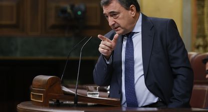 Airton Esteban, portavoz del PNV