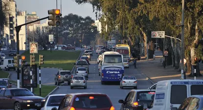 controles y fiscalizaciones: que sanciones aplico la imm y en cuantos casos actuo la policia