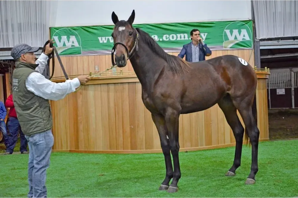 Remató Joaquín Abelenda