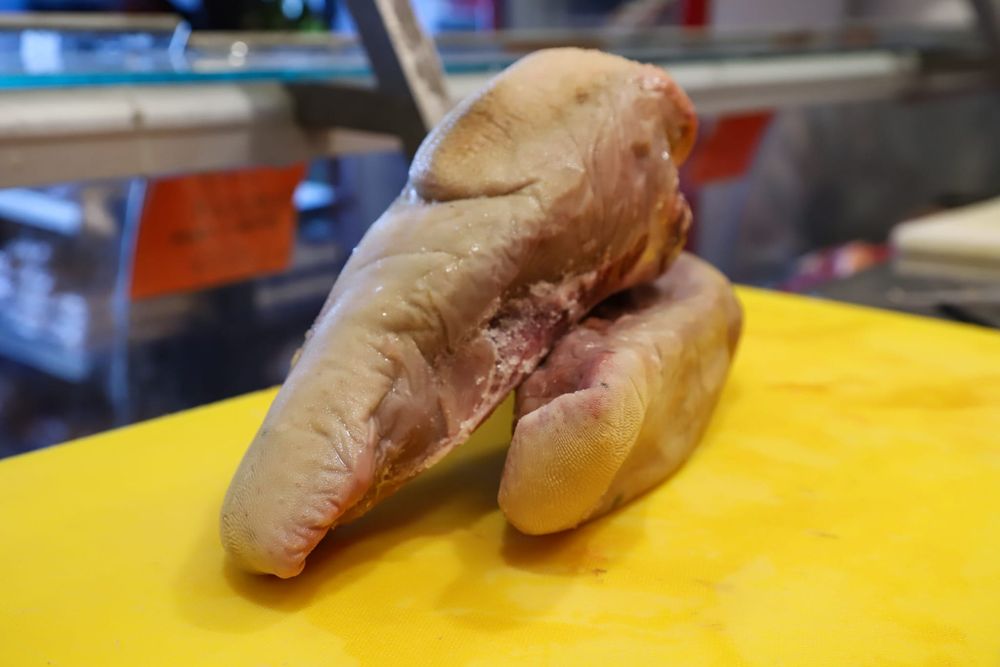 Lengua vacuna.