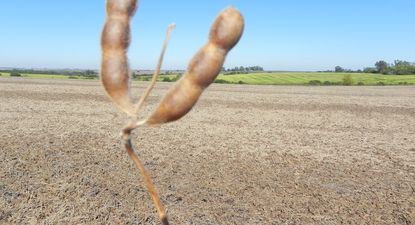 El Observador | Imagen 051