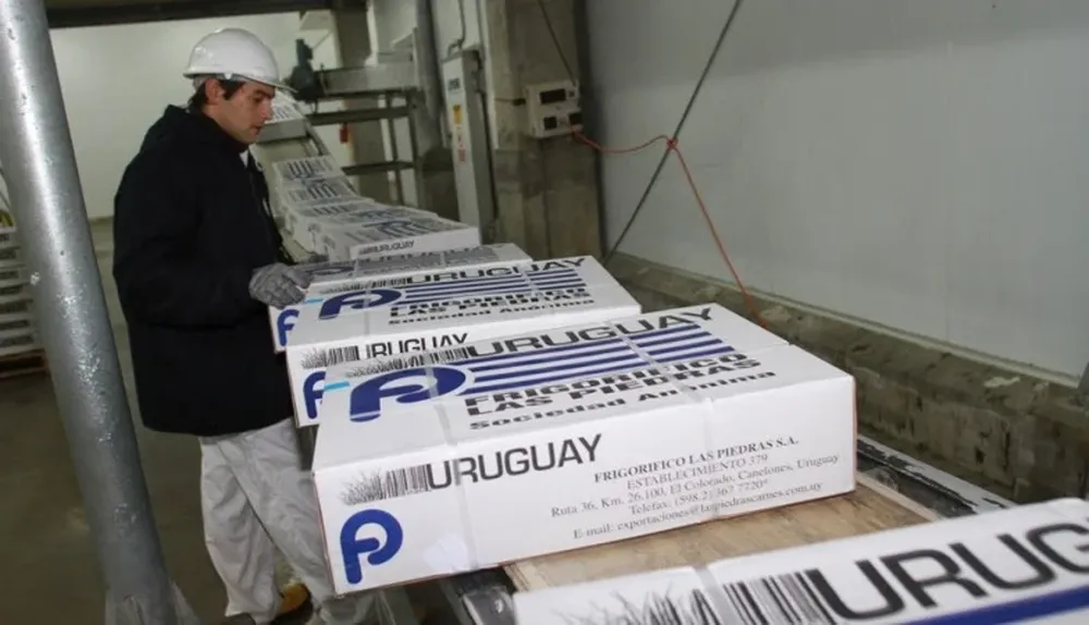 La carne vacuna fue otra vez líder en exportaciones
