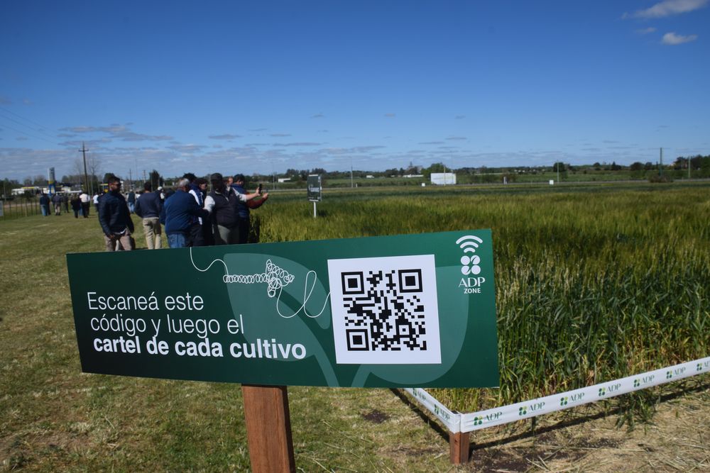 ADP Zone: recorrida por ensayos, en la edición de 2023.