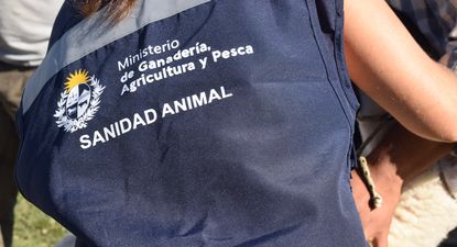 MGAP activó una nueva herramienta de comunicación sobre temas clave y no solo para los productores.