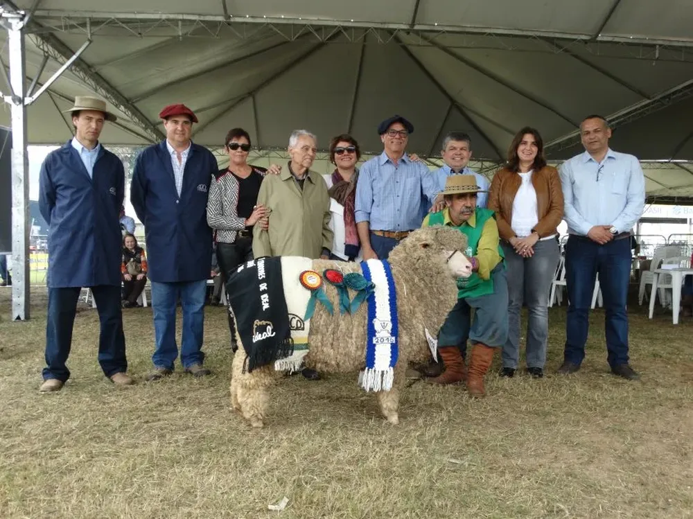 La Gran Campeona Ideal en una de las pistas de ovinos, coronada ayer en la Expointer.