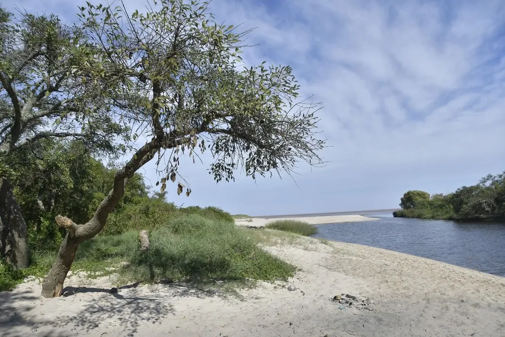 Zona en Arazatí donde se construirá la planta