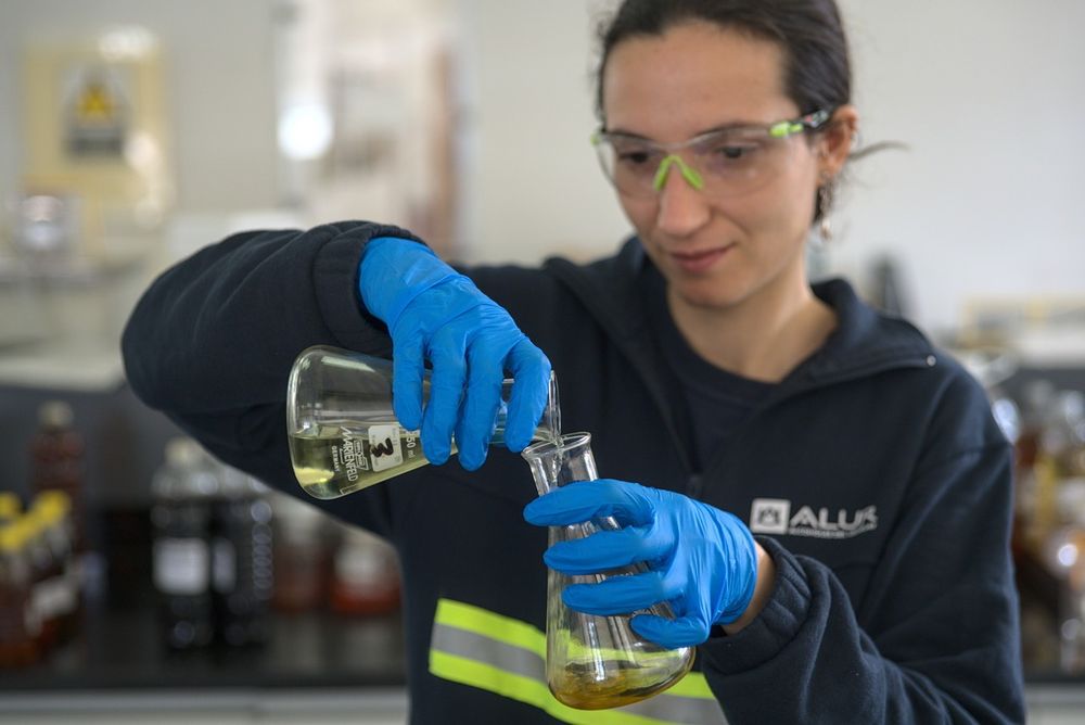 ALUR exportó aceite de canola con valor agregado.