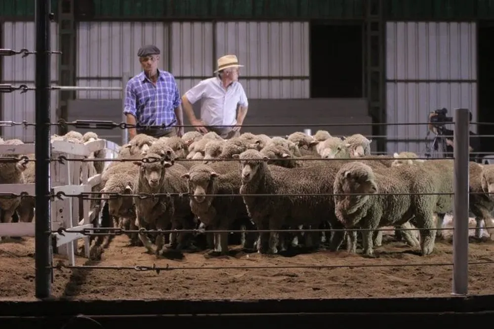 Remate de Petra y El Arazá a cargo de Valdez y Cía