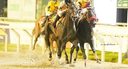 El negocio detrás del turf: el Gran Premio Ramírez movió más de $ 60 millones en apuestas