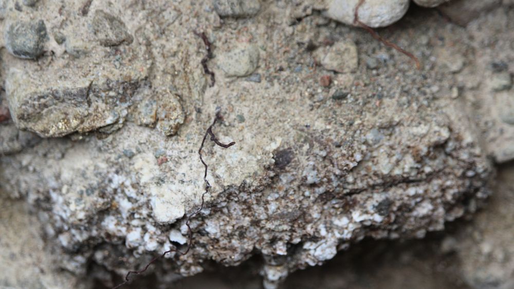 Suelo aluvional profundo del Valle de Uco, con una capa de arena y limo en el primer horizonte, seguido de piedra con calcáreo.